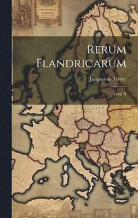 bokomslag Rerum Flandricarum