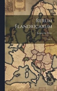 bokomslag Rerum Flandricarum