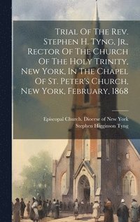 bokomslag Trial Of The Rev. Stephen H. Tyng, Jr., Rector Of The Church Of The Holy Trinity, New York, In The Chapel Of St. Peter's Church, New York, February, 1868