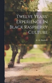 bokomslag Twelve Years' Experience In Black Raspberry Culture