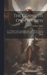 bokomslag Gospel Its Own Witness