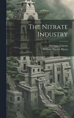 bokomslag Nitrate Industry