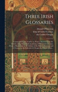 bokomslag Three Irish Glossaries