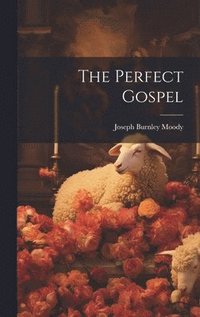bokomslag Perfect Gospel