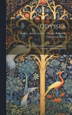 bokomslag Odyssea
