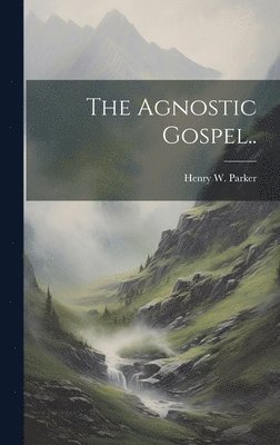 bokomslag Agnostic Gospel..