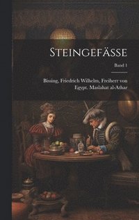 bokomslag Steingefässe; Band 1