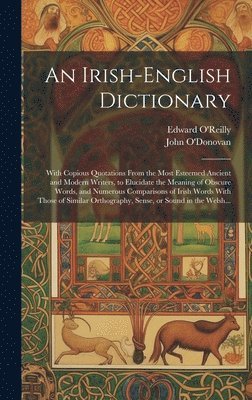 An Irish-English Dictionary 1