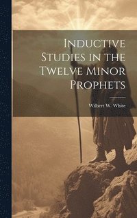bokomslag Inductive Studies in the Twelve Minor Prophets