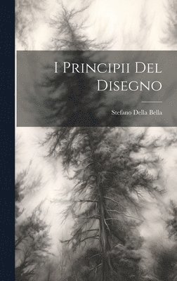 I principii del disegno 1