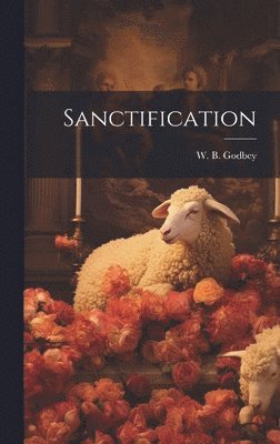 bokomslag Sanctification