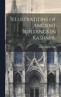 bokomslag Illustrations of Ancient Buildings in Kashmir.