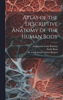 bokomslag Atlas of the Descriptive Anatomy of the Human Body [electronic Resource]