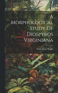 bokomslag A Morphological Study Of Diospyros Virginiana