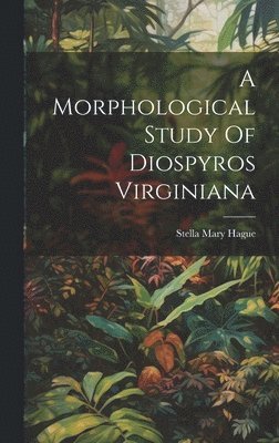 Morphological Study Of Diospyros Virginiana