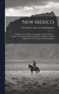 bokomslag New Mexico