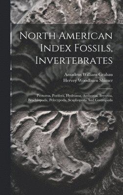 bokomslag North American Index Fossils, Invertebrates