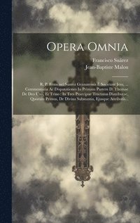 bokomslag Opera Omnia