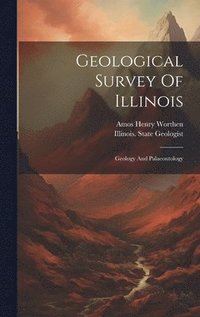 bokomslag Geological Survey Of Illinois