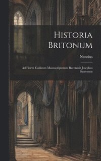 bokomslag Historia Britonum