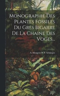 bokomslag Monographie Des Plantes Fossiles Du Gres Bigarre De La Chaine Des Voges...