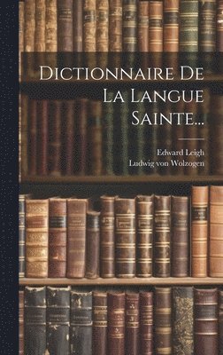 bokomslag Dictionnaire De La Langue Sainte...