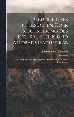 Grndliches Untersuchen Oder Beschreibung Des Heyl-brnleins Und Wildbads Nchst Rb 1
