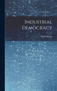 bokomslag Industrial Democracy