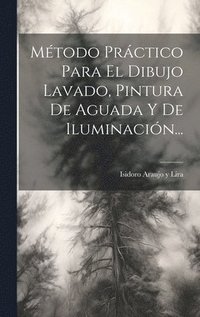 bokomslag Mtodo Prctico Para El Dibujo Lavado, Pintura De Aguada Y De Iluminacin...