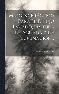 bokomslag Método Práctico Para El Dibujo Lavado, Pintura De Aguada Y De Iluminación...