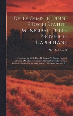 Delle Consuetudini E Degli Statuti Municipali Delle Provincie Napolitane 1