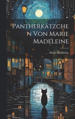 bokomslag Pantherktzchen von Marie Madeleine