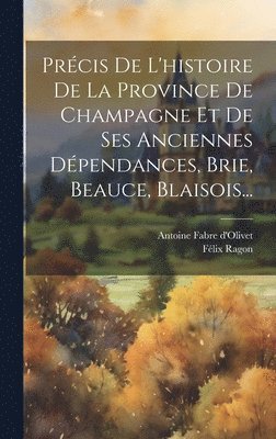 Prcis De L'histoire De La Province De Champagne Et De Ses Anciennes Dpendances, Brie, Beauce, Blaisois... 1