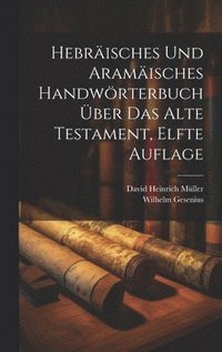 bokomslag Hebrisches und Aramisches Handwrterbuch ber das Alte Testament, elfte Auflage