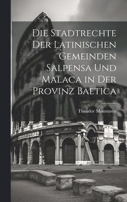 bokomslag Die Stadtrechte der latinischen Gemeinden Salpensa und Malaca in der Provinz Baetica