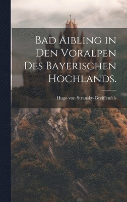 Bad Aibling in den Voralpen des bayerischen Hochlands. 1