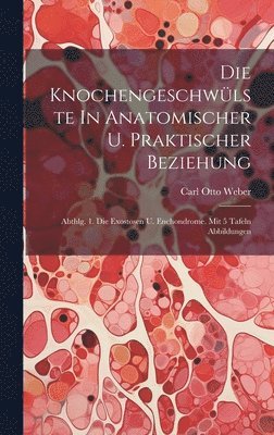 bokomslag Die Knochengeschwlste In Anatomischer U. Praktischer Beziehung