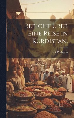 bokomslag Bericht über eine Reise in Kurdistan.