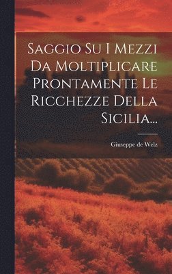 bokomslag Saggio Su I Mezzi Da Moltiplicare Prontamente Le Ricchezze Della Sicilia...