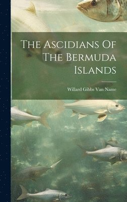 bokomslag The Ascidians Of The Bermuda Islands