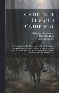 bokomslag Statutes Of Lincoln Cathedral