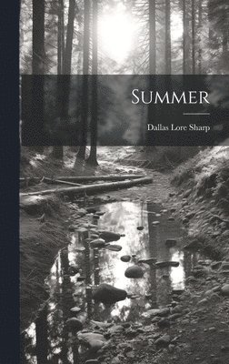 Dallas Lore Sharp - Summer, Inbunden