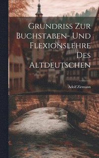 bokomslag Grundriss zur Buchstaben- und Flexionslehre des Altdeutschen