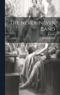 bokomslag The Never-never Land