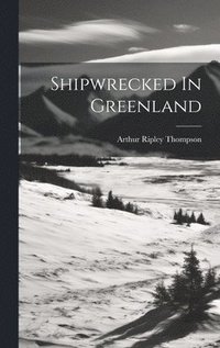 bokomslag Shipwrecked In Greenland