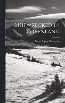 Shipwrecked In Greenland 1