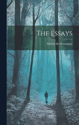 bokomslag Essays