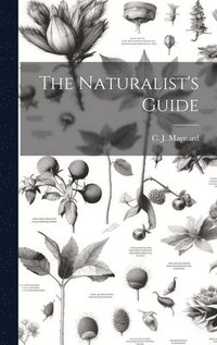 bokomslag The Naturalist's Guide