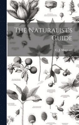 bokomslag The Naturalist's Guide