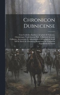 bokomslag Chronicon Dubnicense